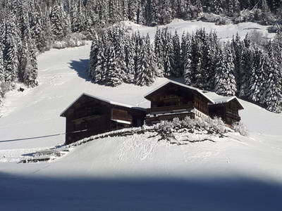 Bild 10 aus  Plonerhof