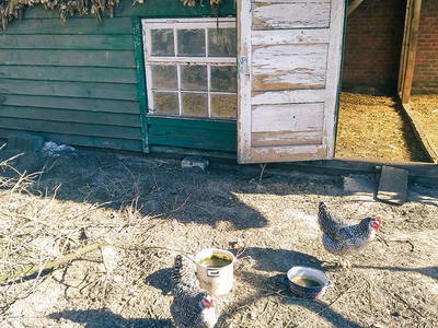 Bild 15 aus  Bauernhof Laave