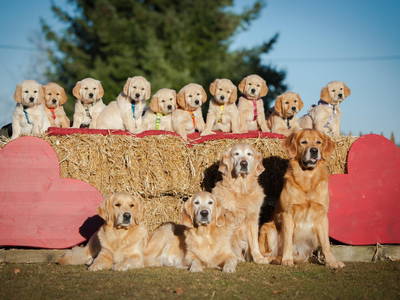 Bild 38 aus  Ferien-Landhaus-Isolde