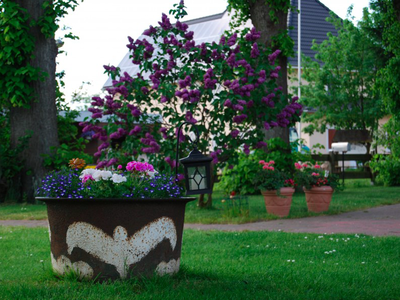 Bild 22 aus  Ahoi Ostsee:  Bauernhof und OstseeUrlaub - Ferienhof Becker in Dahme