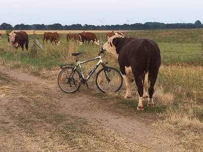 Bild 8 aus  Rittergut Schlüsselburg