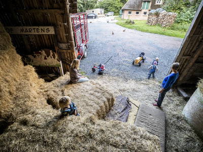 Bild 18 aus  Ferienhof Martens