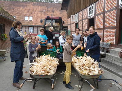 Bild 42 aus  Leverenzhof