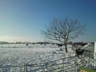 Bild 28 aus  Hof Belvedere an der Ostsee