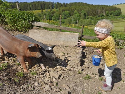 Bild 13 aus  Kernenhof