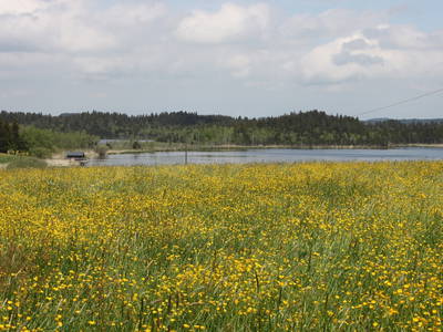 Blick von der Terrasse