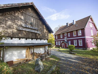 Bild 2 aus  Kofa 1895