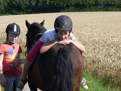 Bild 7 aus  Thiesen-Hof