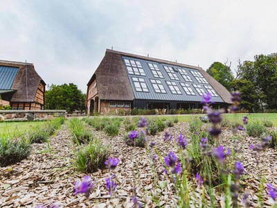 Bild 3 aus  Gut Damp