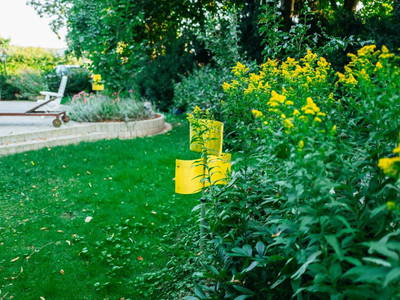 Bild 24 aus  Cottage mit Kamin und Garten
