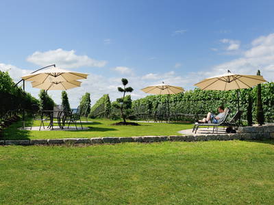 Bild 28 aus  Obst- und Ferienhof Gomeringer