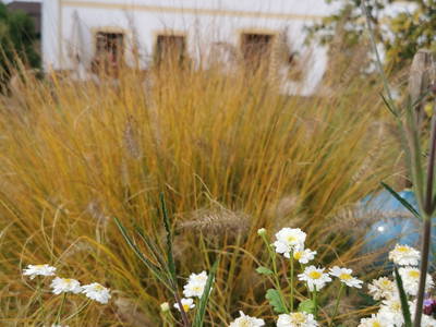 Bild 38 aus  Frankhof