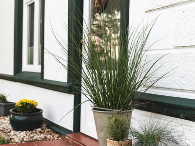 Bild 9 aus  Ferienhof Nordseeblick ****