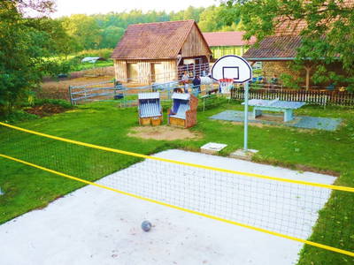 Tischtennis, Basketball