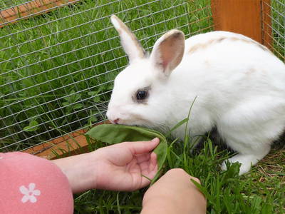 Bild 12 aus  Ferienhof am Mehlbach