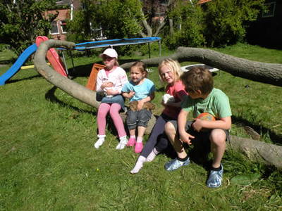 Bild 36 aus  Hof Sassen