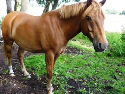 Bild 34 aus  Hof Grüneberg