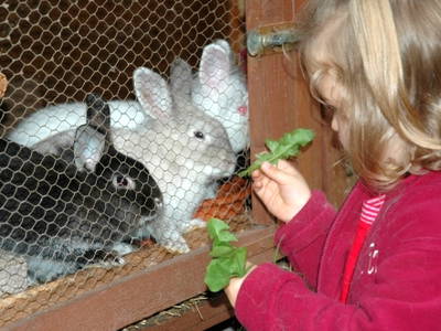 Bild 8 aus  Leihwieserhof