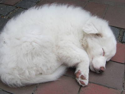 Bild 15 aus  Ferienhof Severin