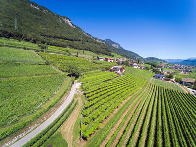 Bild 4 aus  Finkenhof