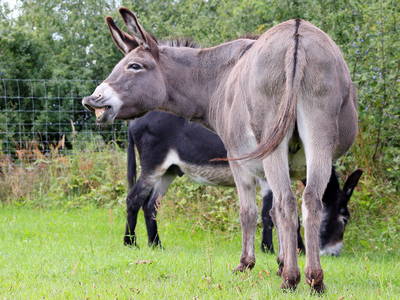 Herzlich Willkommen!