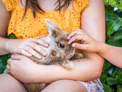 Foto von Oberpfälzer Wald