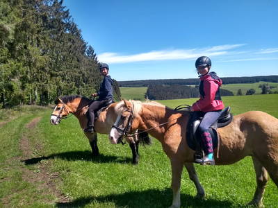 Bild 4 aus  Kernenhof