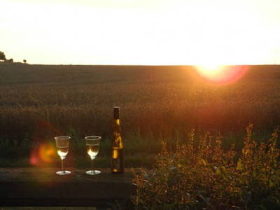 Bild 10 aus  Alte Scheune Rietzschelhof