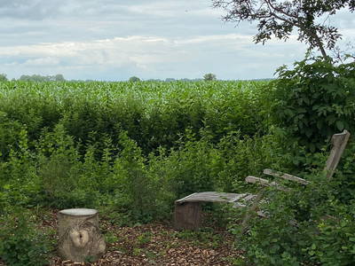 Bild 15 aus  Hof hinterm Deich