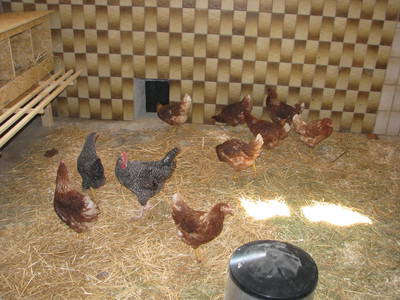 Bild 18 aus  Ferienhof Buchberger