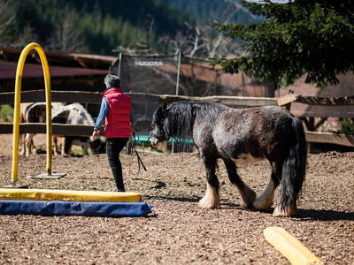 Bild 9 aus  Friedershof