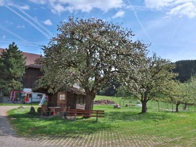 Bild 10 aus  Ferienhof Miller