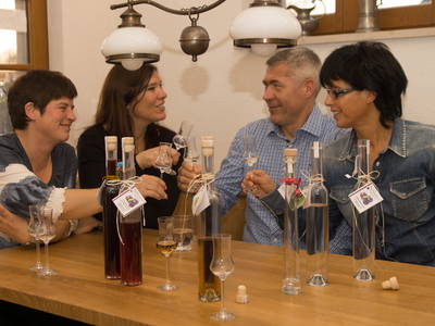 Bild 31 aus  Schlosshof - der Urlaubsbauernhof