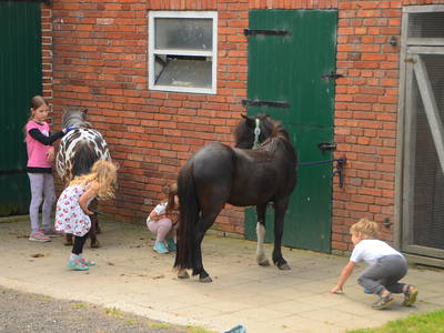 Bild 39 aus  Ostseeferienhof Tralau