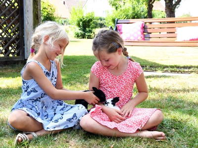 Bild 31 aus  Hofgut Schleinsee  - idyllisch am eigenen See