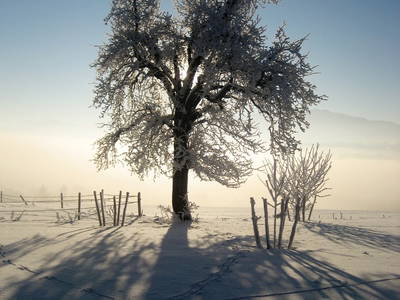 Winterstimmung am Lettigenbichl
