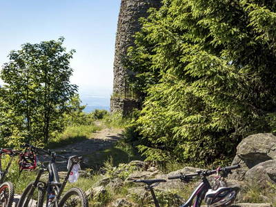 Bild 79 aus  Paulas Bauernhof im Bayerischen Wald