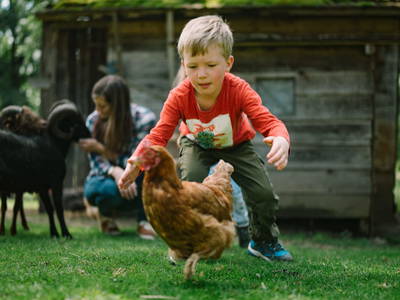 Bild 71 aus  Staudachhof