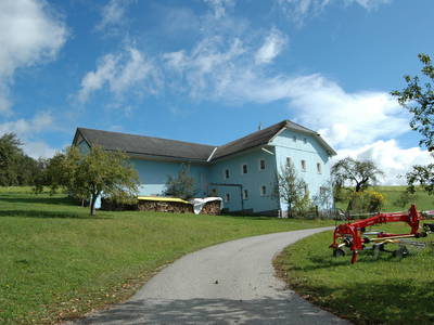 Bild 25 aus  Sommerfrische Edt - Nostalgiehof - leben wie damals