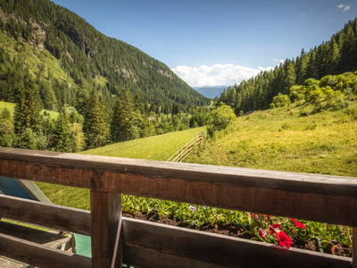 Bild 20 aus  Eseihütte