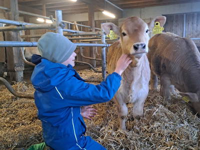 Bild 37 aus  Rotlechner