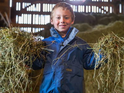 Bild 17 aus  Wermenerhof