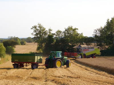 Weizenernte am Kleingarn-Hof