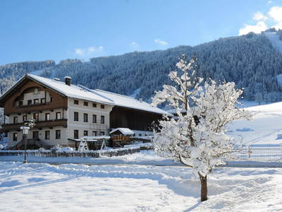 Bild 72 aus  Hartlhof Urlaub am Baby- und Kinderbauernhof