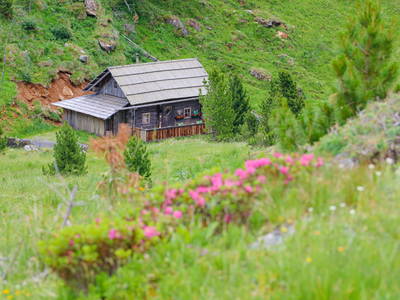 Bild 2 aus  Grubenbauer Hütte