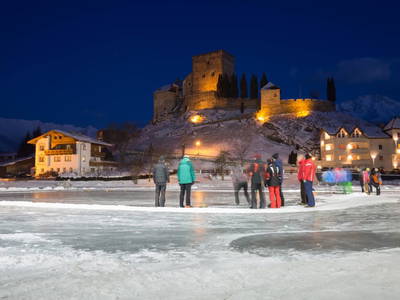 Bild 99 aus  Holzackerhof