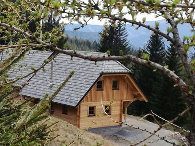 Bild 133 aus  Almchalet Nikola