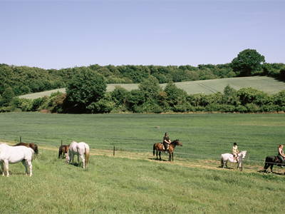 Reiten steht hoch im Kurs