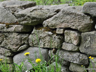 Bild 43 aus  Ferienhof Hintergrabenbauer