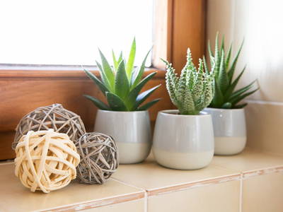 Bild 25 aus  Haus Lindbichl